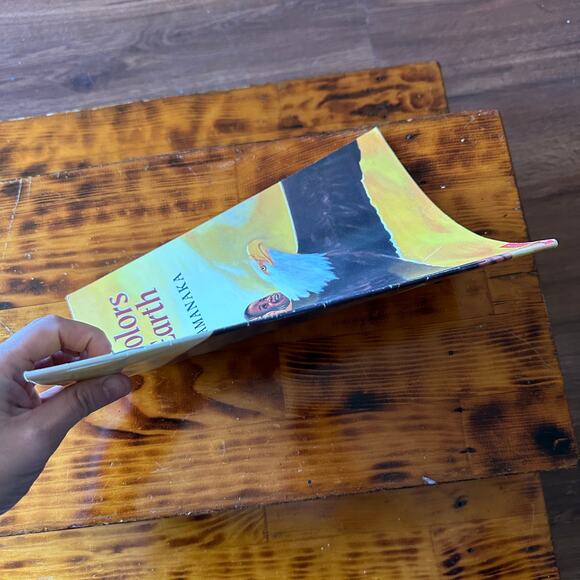 Vintage 2000 Scholastic All The Colors Of The Earth Paperback Book - Picture 7 of 7